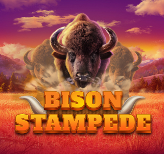 bison stampede